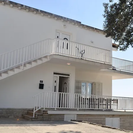 Indigo * 察夫塔特